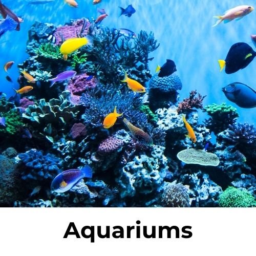 Public aquariums and marine exhibits in India
