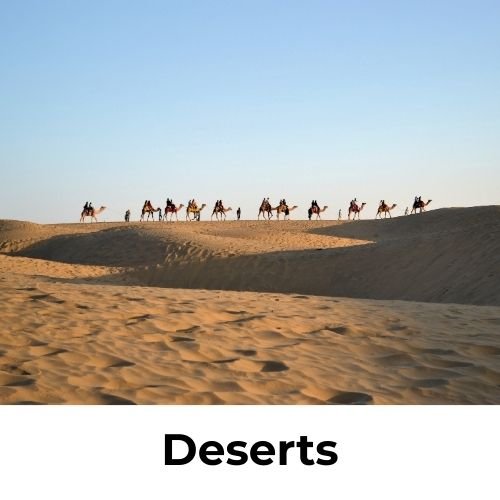 Desert landscapes and sand dunes in India