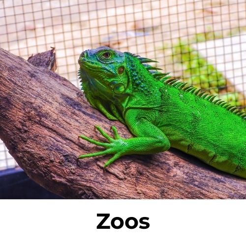 Wildlife zoos and animal enclosures in India